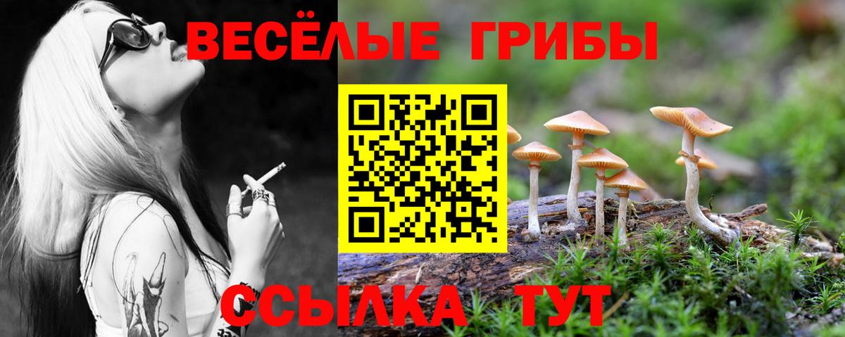 Можайск  Галлюциногенные грибы GOLDEN TEACHER  что такое   Вход с VPN 