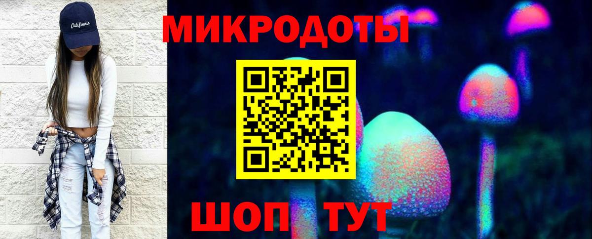Псилоцибиновые грибы прущие грибы Можайск